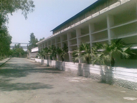 Crescent — photograph 6